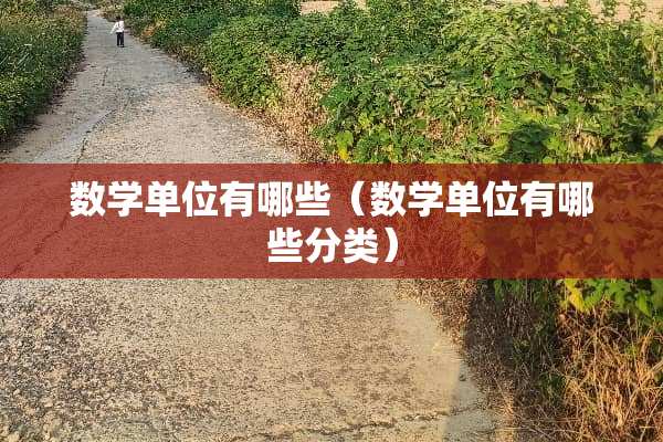 数学单位有哪些（数学单位有哪些分类）