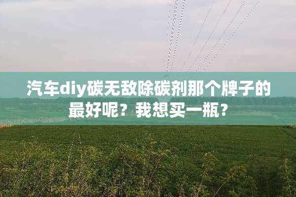 汽车diy碳无敌除碳剂那个牌子的最好呢？我想买一瓶？