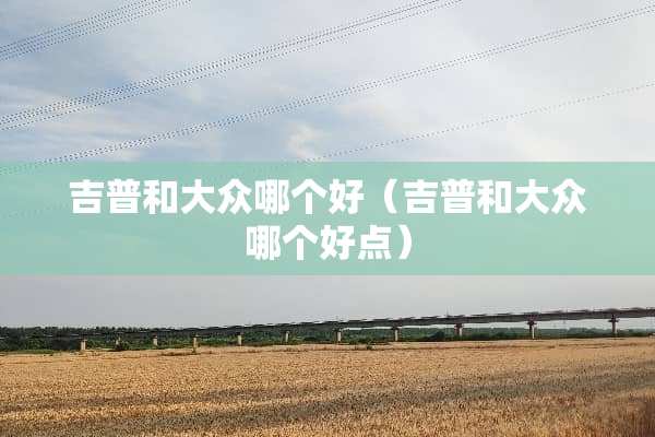 吉普和大众哪个好（吉普和大众哪个好点）