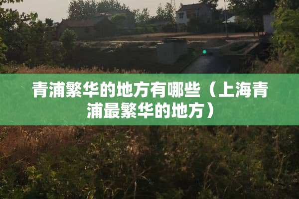 青浦繁华的地方有哪些（上海青浦最繁华的地方）