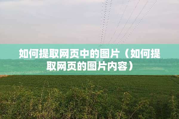 如何提取网页中的图片（如何提取网页的图片内容）