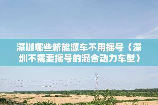 深圳哪些新能源车不用摇号（深圳不需要摇号的混合动力车型）