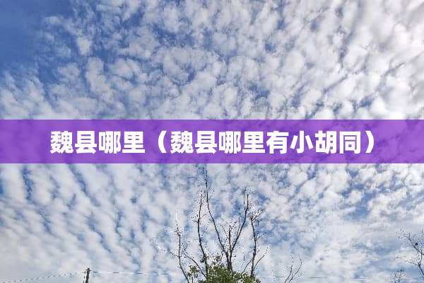魏县哪里（魏县哪里有小胡同）