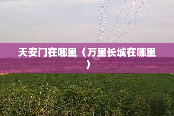 ***在哪里（**长城在哪里）
