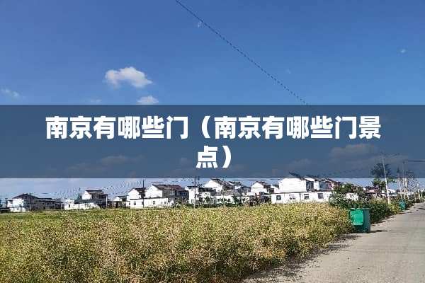 南京有哪些门（南京有哪些门景点）