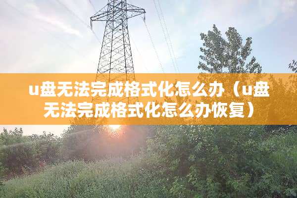 u盘无法完成格式化怎么办（u盘无法完成格式化怎么办恢复）