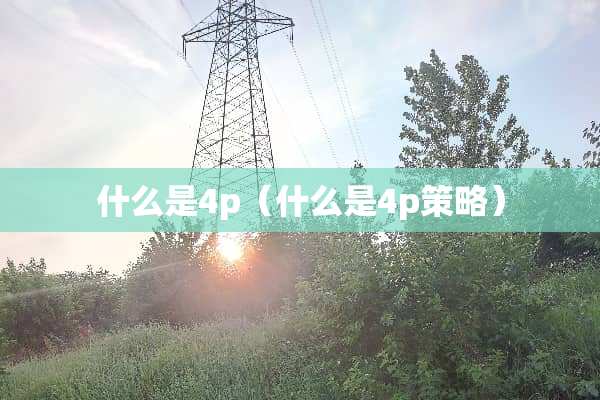 什么是4p（什么是4p策略）