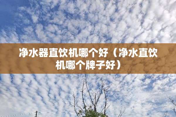 ***直饮机哪个好（净水直饮机哪个牌子好）