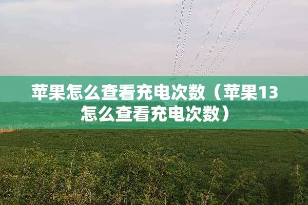 苹果怎么查看充电次数（苹果13怎么查看充电次数）