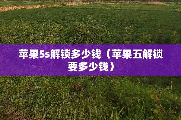 苹果5s解锁多少钱（苹果五解锁要多少钱）