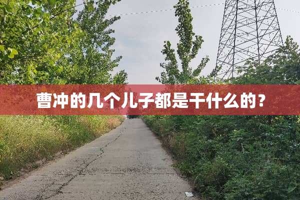 曹冲的几个儿子都是干什么的？
