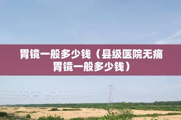 胃镜一般多少钱（县级医院无痛胃镜一般多少钱）