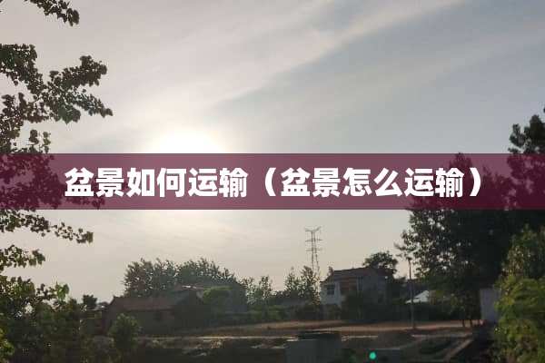 盆景如何运输（盆景怎么运输）