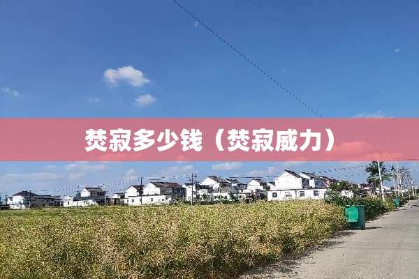 焚寂多少钱（焚寂威力）