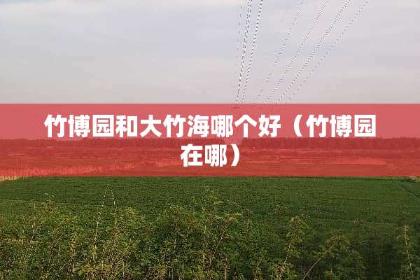 竹博园和大竹海哪个好（竹博园在哪）