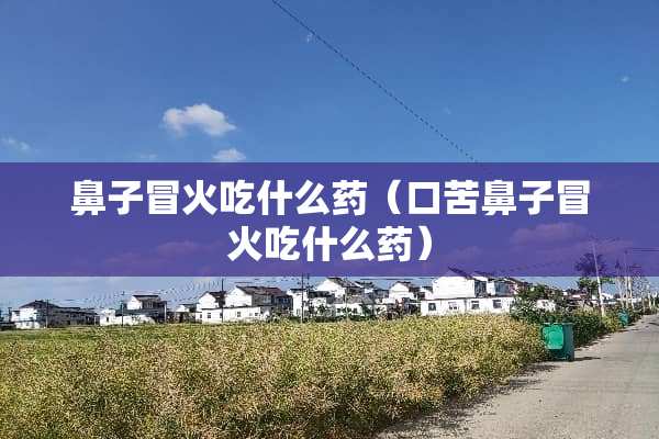 鼻子冒火吃什么药（口苦鼻子冒火吃什么药）