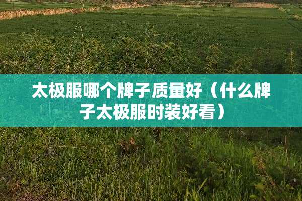 太极服哪个牌子质量好（什么牌子太极服时装好看）