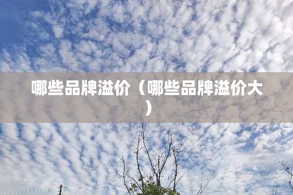 哪些品牌溢价（哪些品牌溢价大）
