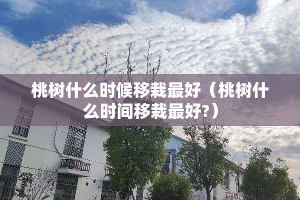 桃树什么时候移栽最好（桃树什么时间移栽最好?）