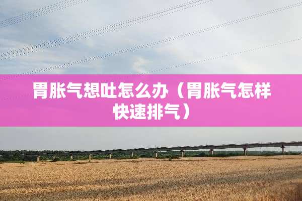 胃胀气想吐怎么办（胃胀气怎样快速排气）