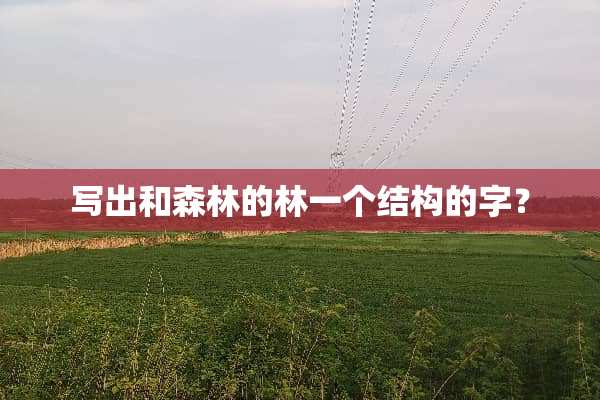 写出和森林的林一个结构的字？