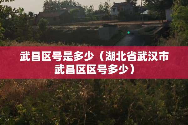 武昌区号是多少（湖北省武汉市武昌区区号多少）