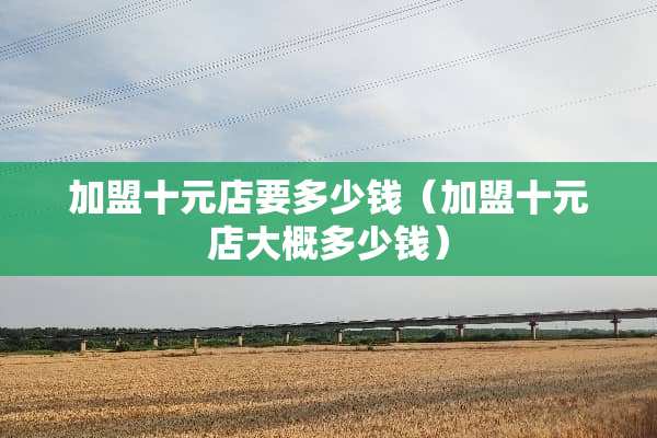 加盟十元店要多少钱（加盟十元店大概多少钱）