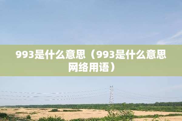 993是什么意思（993是什么意思网络用语）