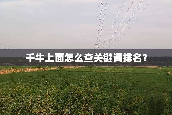 千牛上面怎么查关键词排名？