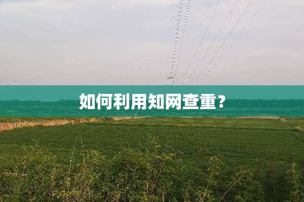 如何利用知网查重？