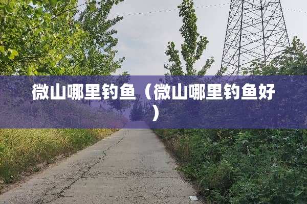 微山哪里钓鱼（微山哪里钓鱼好）