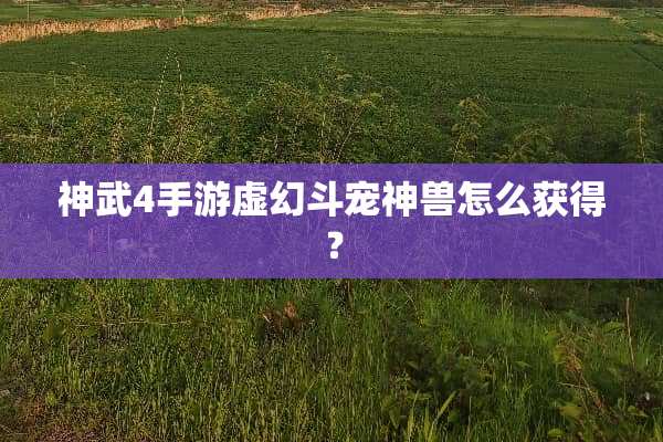 神武4手游虚幻斗宠神兽怎么获得？