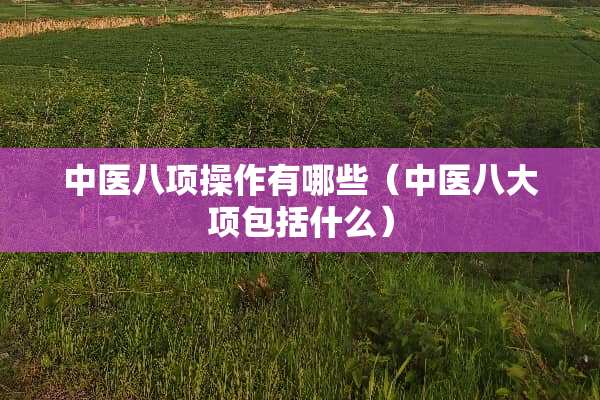 中医八项操作有哪些（中医八大项包括什么）