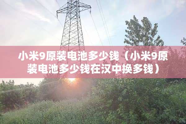 小米9原装电池多少钱（小米9原装电池多少钱在汉中换多钱）