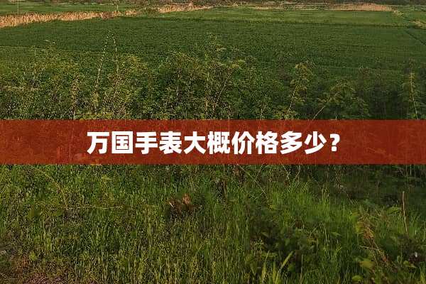 万国手表大概价格多少？