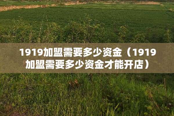 1919加盟需要多少资金（1919加盟需要多少资金才能开店）