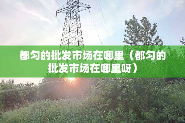 都匀的批发市场在哪里（都匀的批发市场在哪里呀）