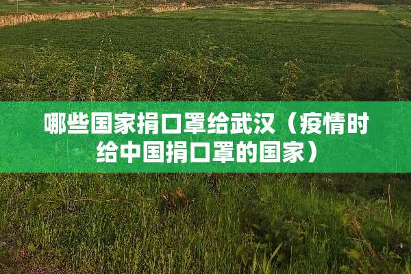哪些国家捐口罩给武汉（疫情时给中国捐口罩的国家）