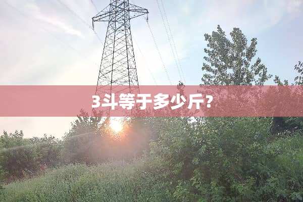 3斗等于多少斤？