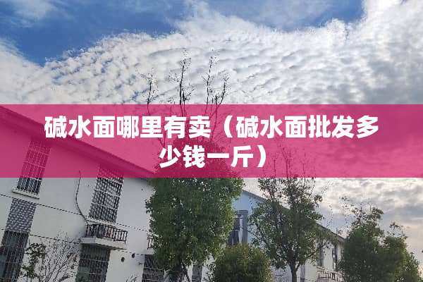 碱水面哪里有卖（碱水面批发多少钱一斤）