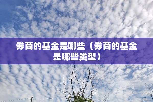 券商的基金是哪些（券商的基金是哪些类型）
