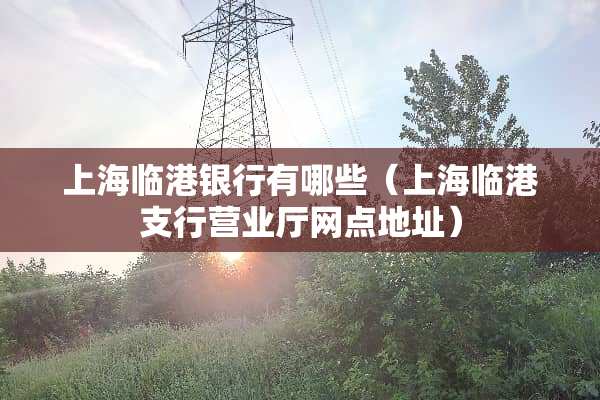 上海临港银行有哪些（上海临港支行营业厅网点地址）