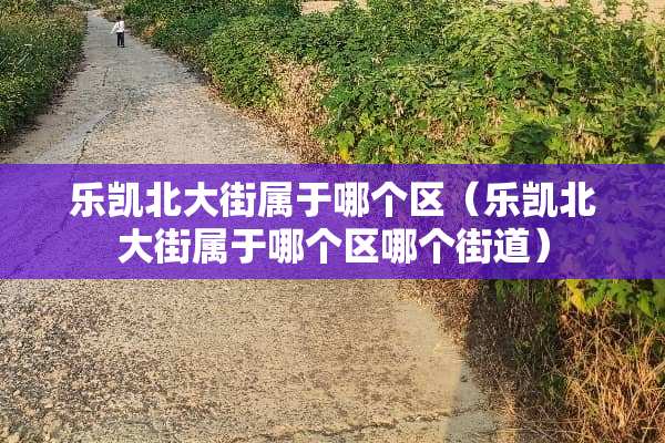 乐凯北大街属于哪个区（乐凯北大街属于哪个区哪个街道）