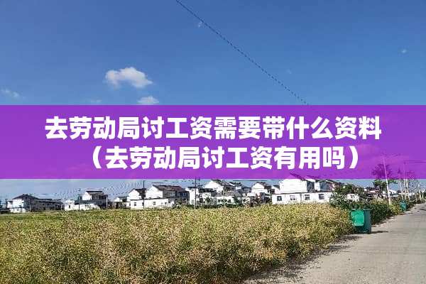 去劳动局讨工资需要带什么资料（去劳动局讨工资有用吗）