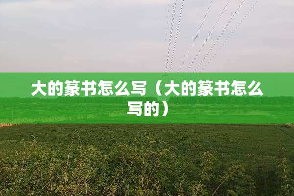 大的篆书怎么写（大的篆书怎么写的）