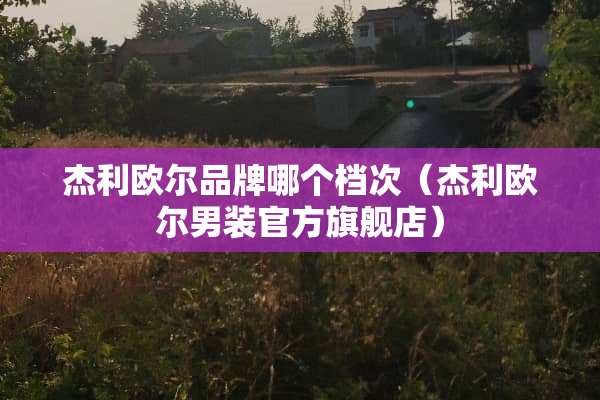 杰利欧尔品牌哪个档次（杰利欧尔男装官方旗舰店）