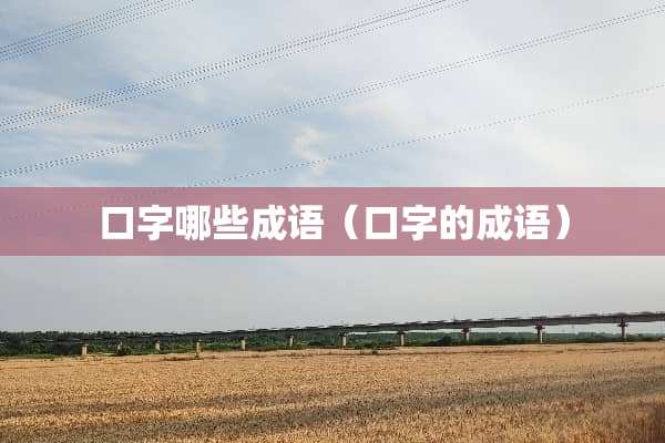 口字哪些成语（口字的成语）