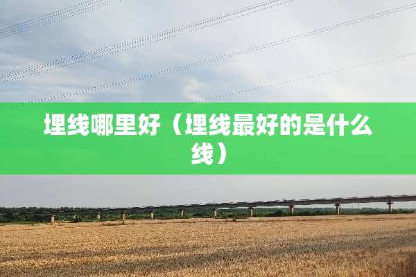 埋线哪里好（埋线最好的是什么线）