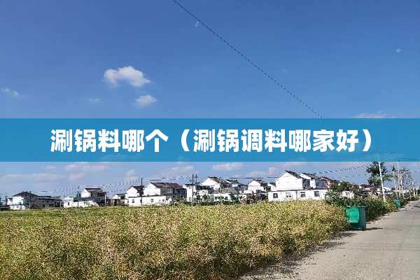 涮锅料哪个（涮锅调料哪家好）