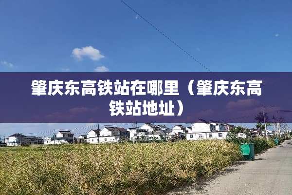 肇庆东高铁站在哪里（肇庆东高铁站地址）
